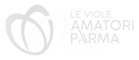 Le Viole Amatori Parma Il Rugby