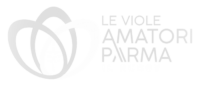Le Viole Amatori Parma Il Rugby