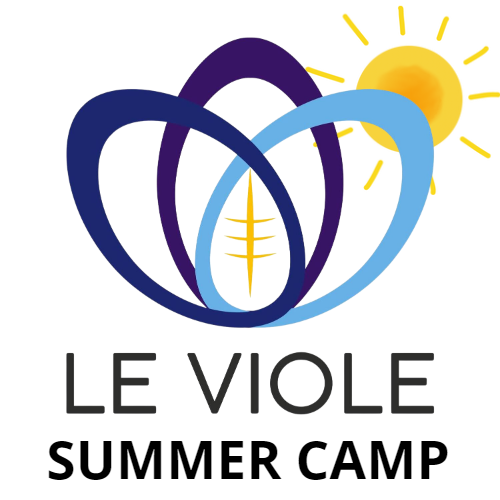 Viole Summer Camp